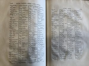 dictionnaire chinois français latin librairie la mazarine